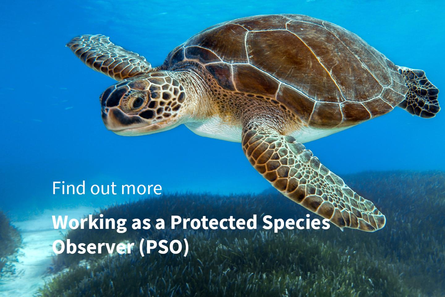 MFO&PSO Discipline Subject Area Cards 13