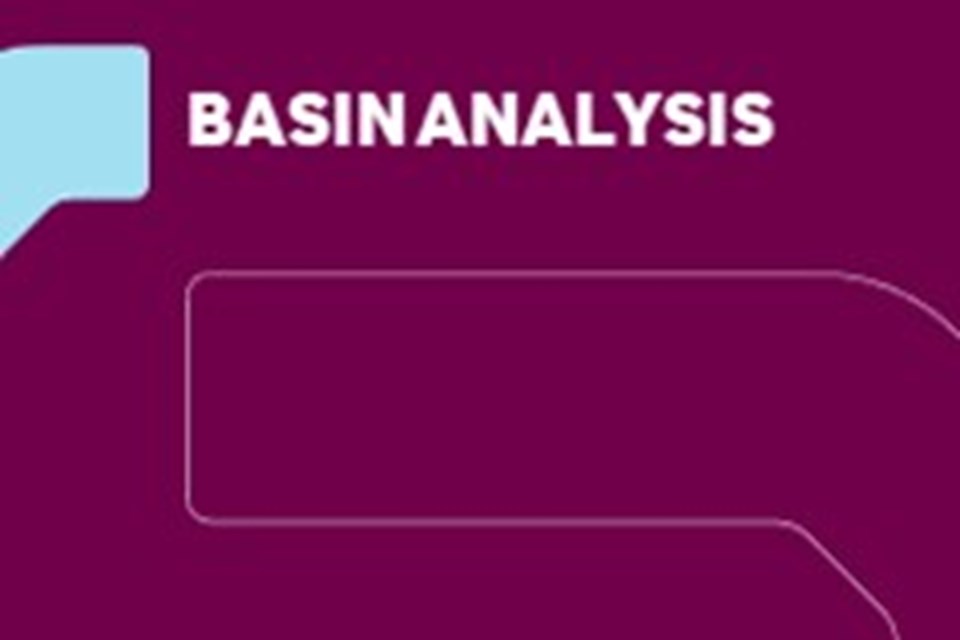Basin Analysis Tile