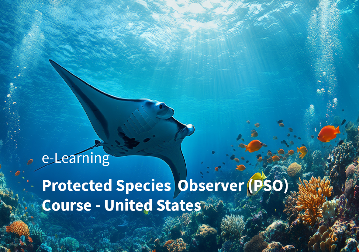 MFO&PSO Discipline Subject Area Cards 12