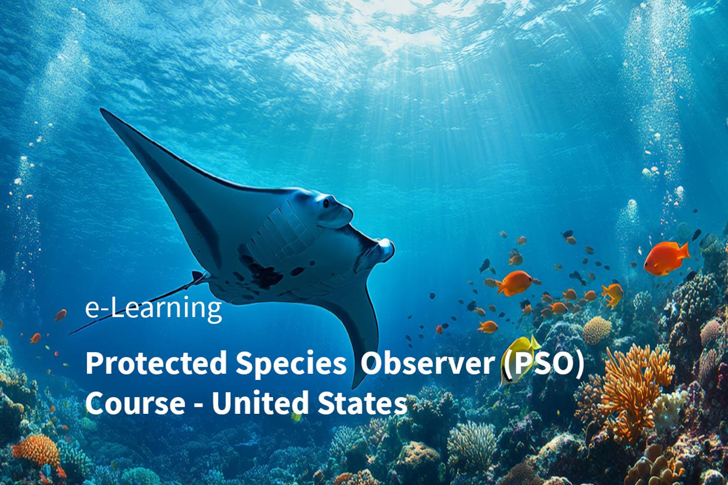 MFO&PSO Discipline Subject Area Cards 12