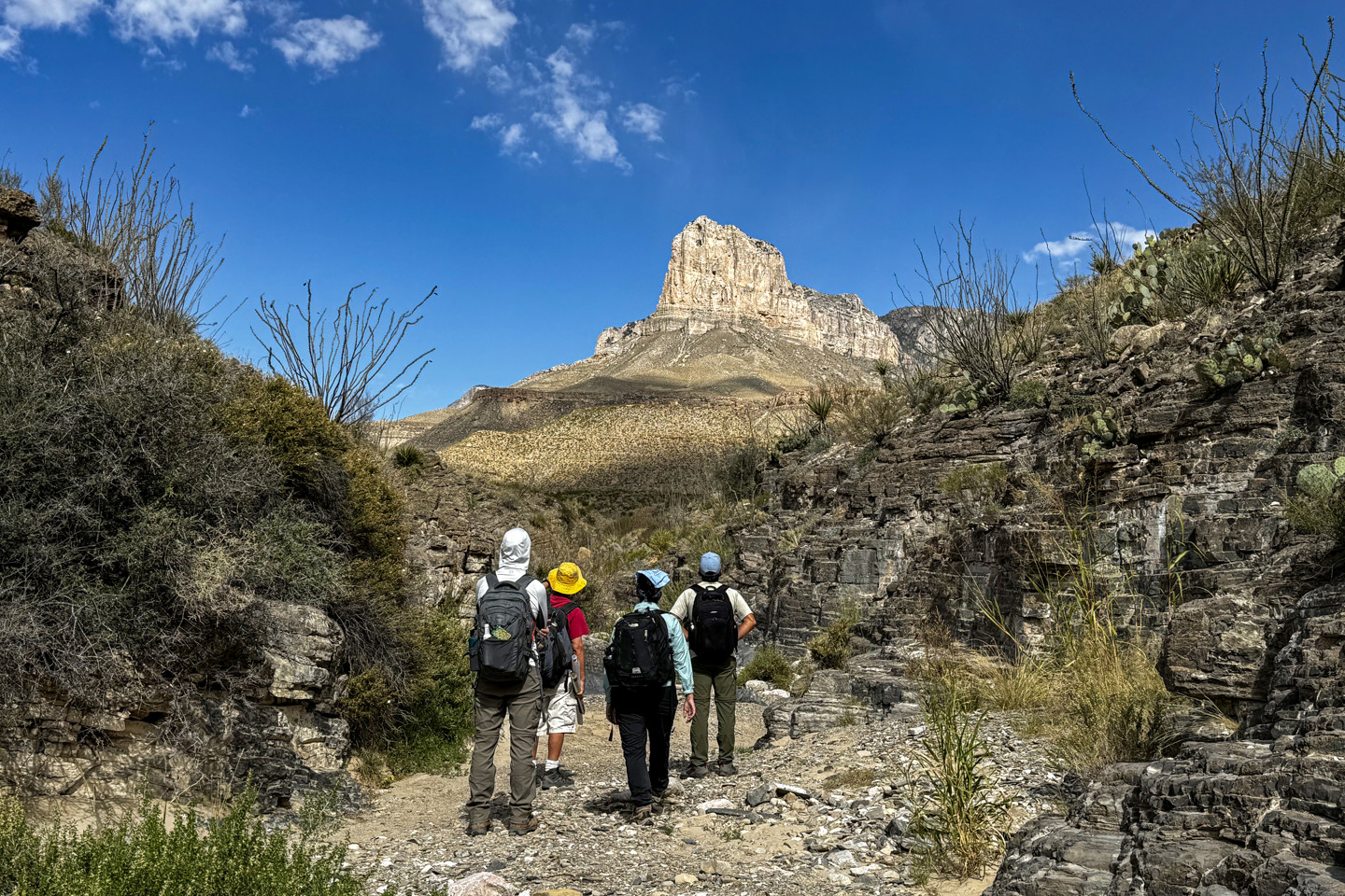 N091a25f New Mexico & Texas2