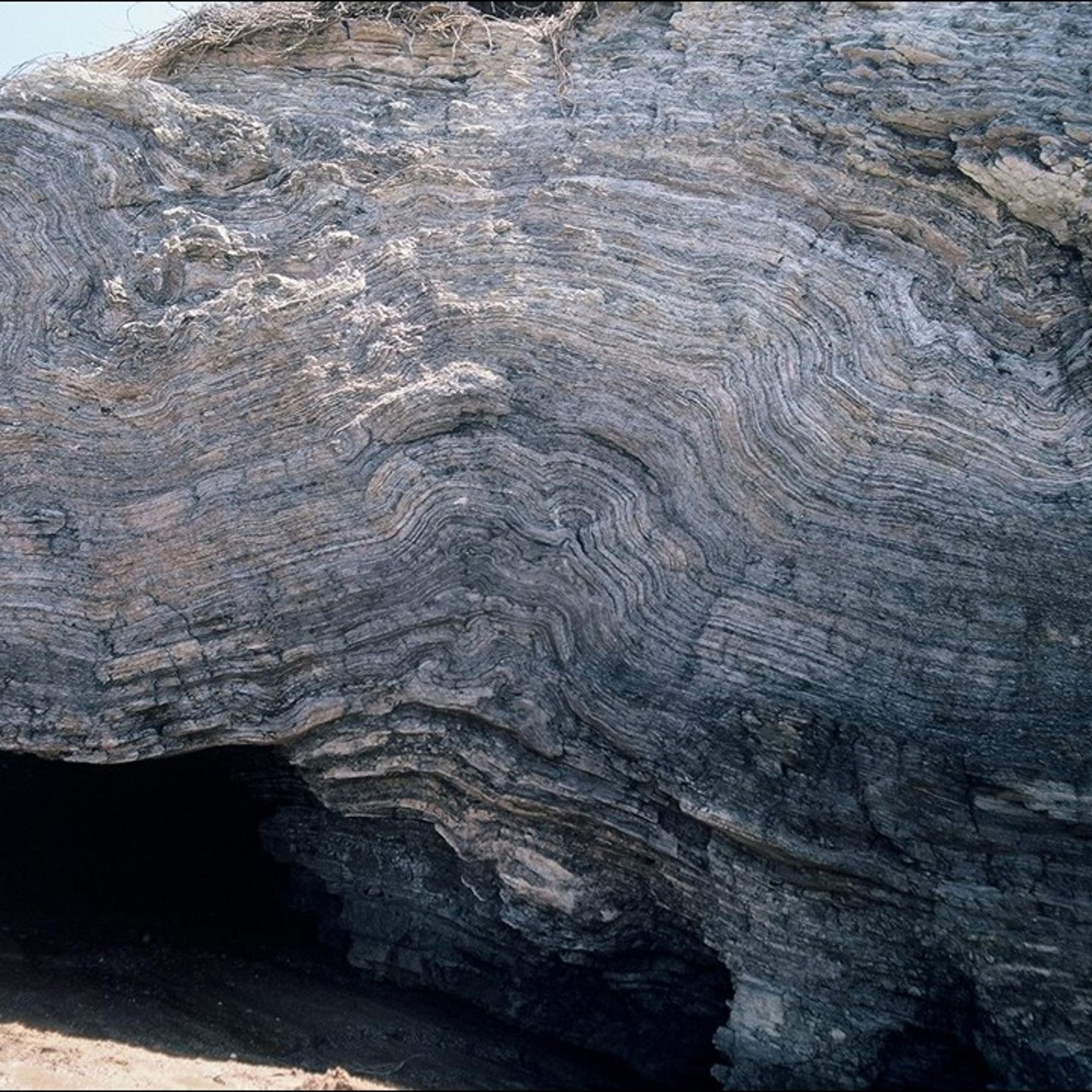 N528a: Petrophysics of Tight and Unconventional Oil Reservoirs