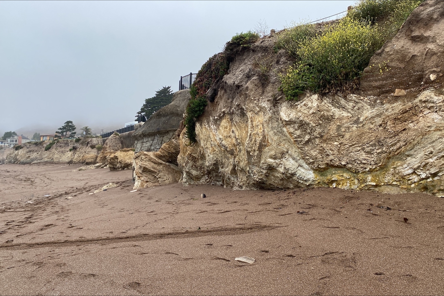 N364a25f Shell Beach