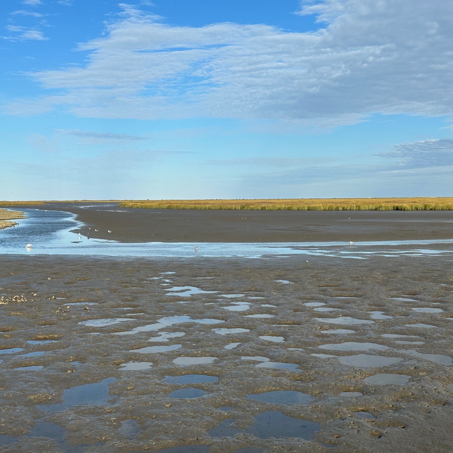 N670a: Fluvial and Coastal Clastic Depositional Environments