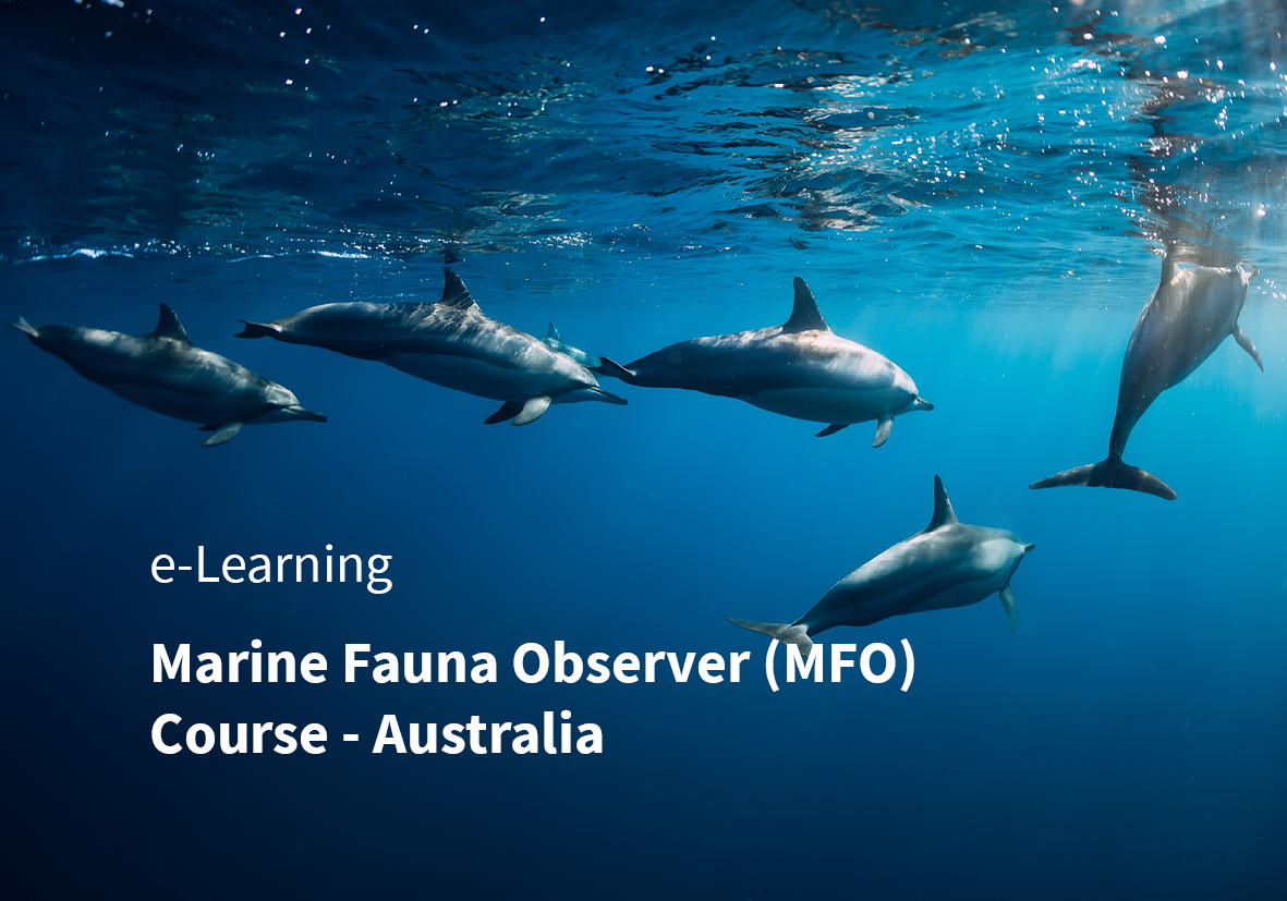 MFO&PSO Discipline Subject Area Cards 1