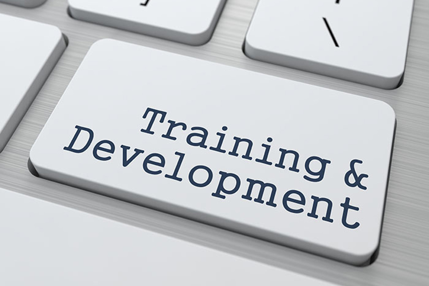 Training And Development