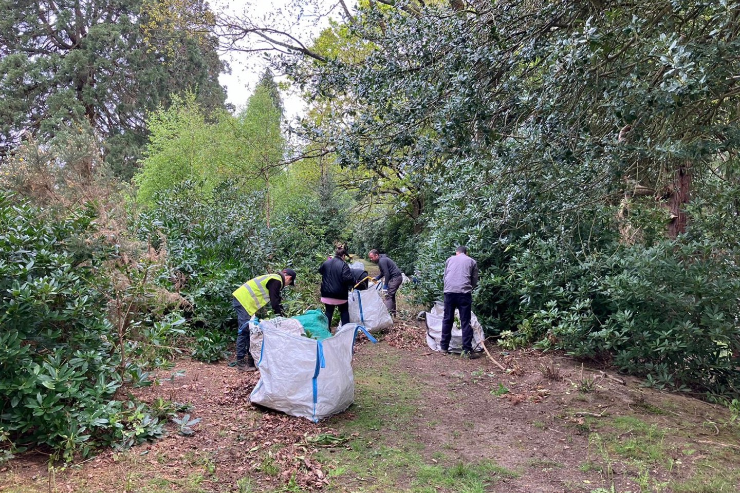 Rps Volunteering Brookwood Cemetery 3