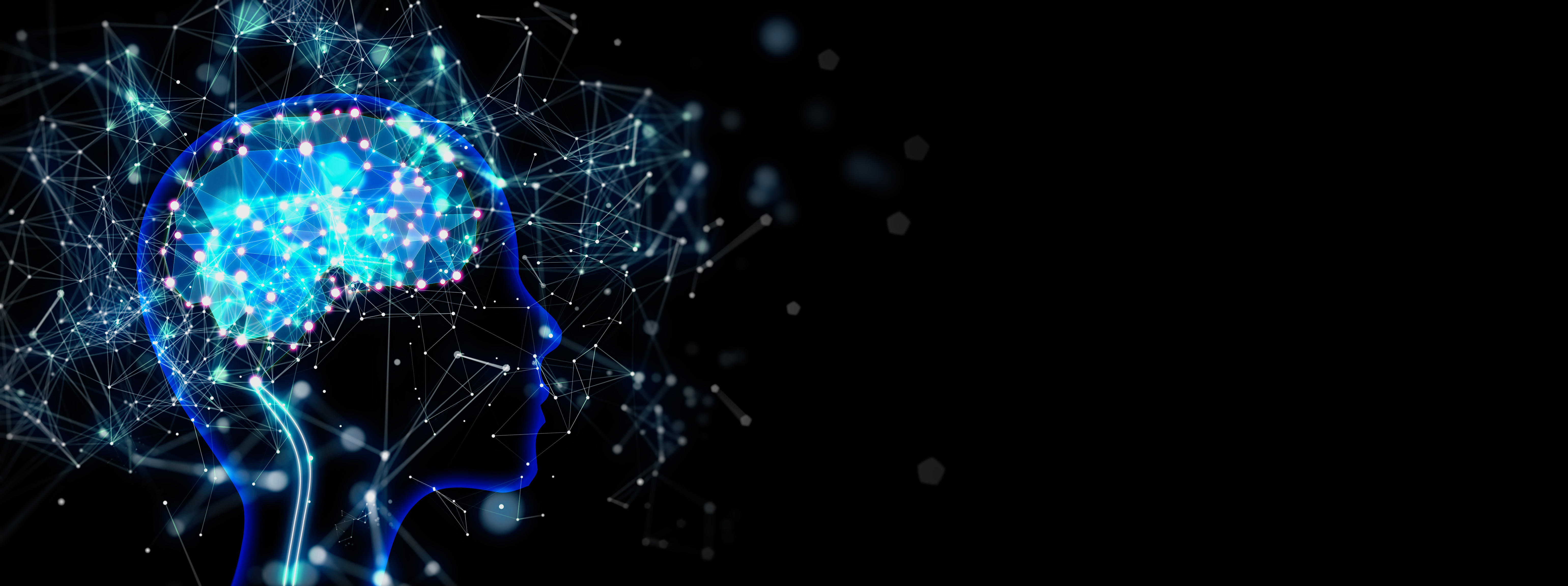 Adobestock 299703510