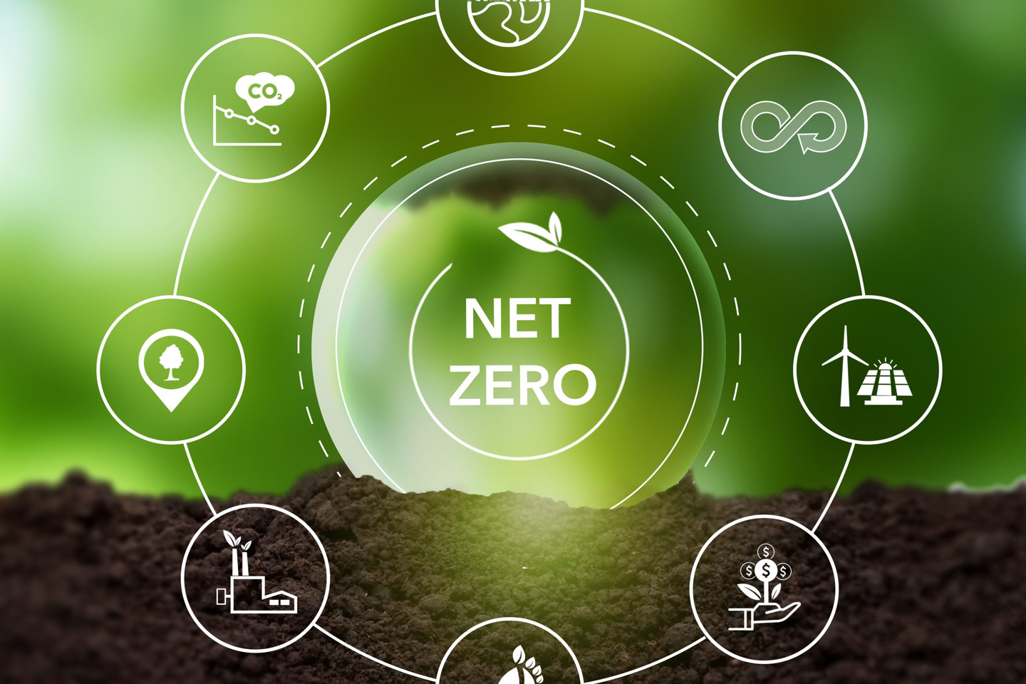 Net Zero